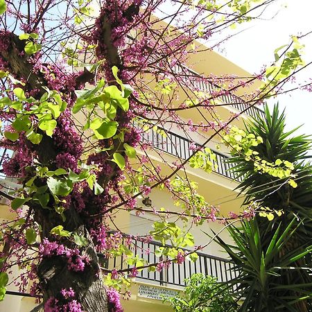 Popy Apartments Ierapetra  Luaran gambar